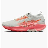 Кросівки чоловічі Nike Pegasus Trail 5 Gtx FQ0908-004 _image_2