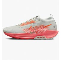 Кроссовки мужские Nike Pegasus Trail 5 Gtx FQ0908-004_image_9