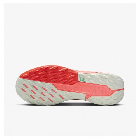 Кросівки чоловічі Nike Pegasus Trail 5 Gtx FQ0908-004 _image_9