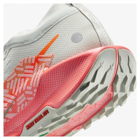 Кросівки чоловічі Nike Pegasus Trail 5 Gtx FQ0908-004 _image_4