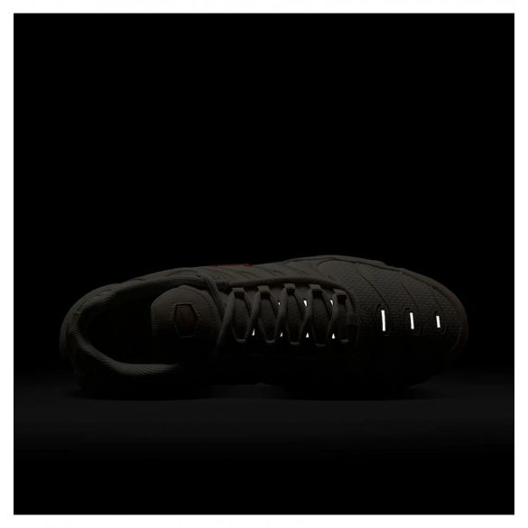 Кросівки чоловічі Nike Air Max Plus DM0032-019_image_9
