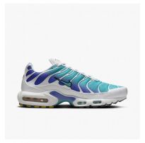 Кроссовки мужские Nike Air Max Plus Turquois DM0032-102_image_8