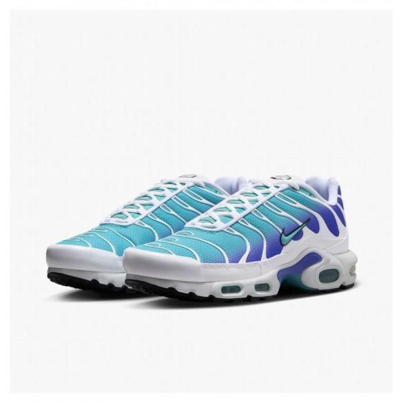 Кросівки чоловічі Nike Air Max Plus Turquoise DM0032-102_image_7