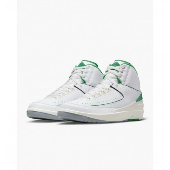 Кросівки чоловічі Air Jordan 2  DR8884-103_image_4