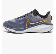 Кросівки жіночі Nike Vomero 17 FB8502-400
