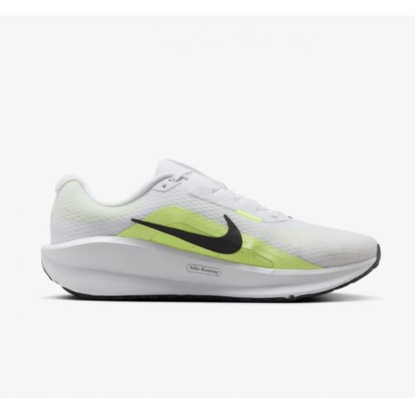 Кросівки Nike Downshifter 13 FD6454-105_image_1