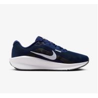 Кросівки Nike Downshifter 13 FD6454-400