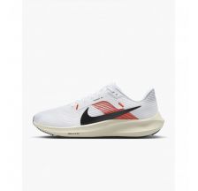 Кросівки Nike Pegasus 40 EK FJ0686-100