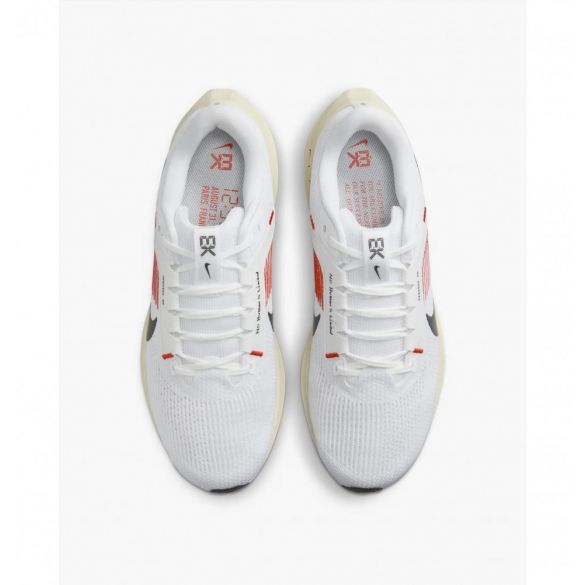 Кросівки Nike Pegasus 40 EK FJ0686-100_image_8