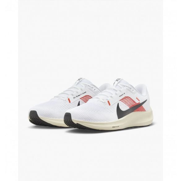 Кросівки Nike Pegasus 40 EK FJ0686-100_image_10