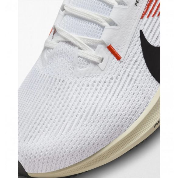 Кросівки Nike Pegasus 40 EK FJ0686-100_image_6