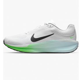 Кросівки Nike Air Winflo 11 FJ9509-112