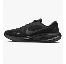 Кросівки чоловічі Nike Journey Run FN0228-009