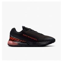 Кросівки чоловічі Nike Air Max Phoenix FZ5307-003_image_8
