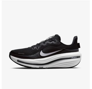 Жіночі кросівки Nike W Air Winflo 12 HV9273-002