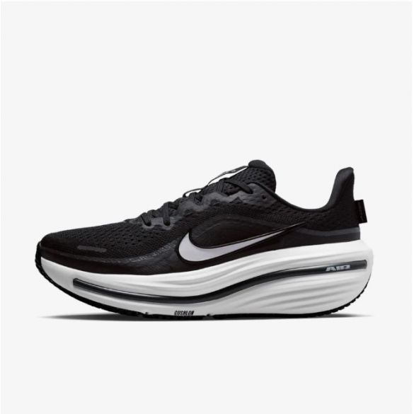 Жіночі кросівки Nike W Air Winflo 12 HV9273-002_image_2