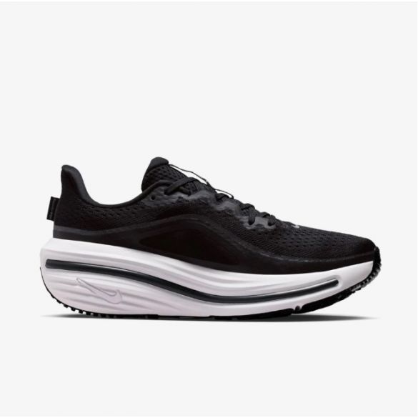 Жіночі кросівки Nike W Air Winflo 12 HV9273-002_image_1