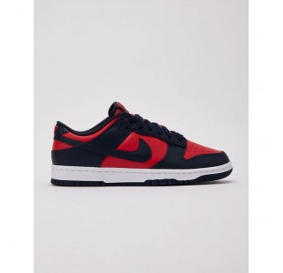 Чоловічі кросівки Nike Dunk Low Retro DV0833-601