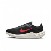 Чоловічі кросівки Nike Air Winflo 10 DV4022-002