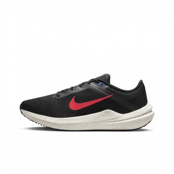 Чоловічі кросівки Nike Air Winflo 10 DV4022-002_image_2