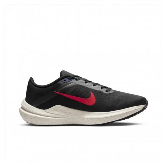 Чоловічі кросівки Nike Air Winflo 10 DV4022-002_image_1