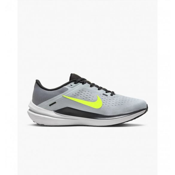 Чоловічі кросівки Nike Air Winflo 10 DV4022-007_image_1