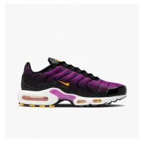 Кросівки жіночі Nike Air Max Plus Multi DZ3670-005_image_8