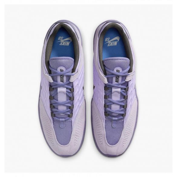 Кросівки чоловічі Nike Sb Vertebrae FD4691-501_image_6