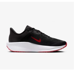 Чоловічі кросівки Nike Quest 6 FD6033-002