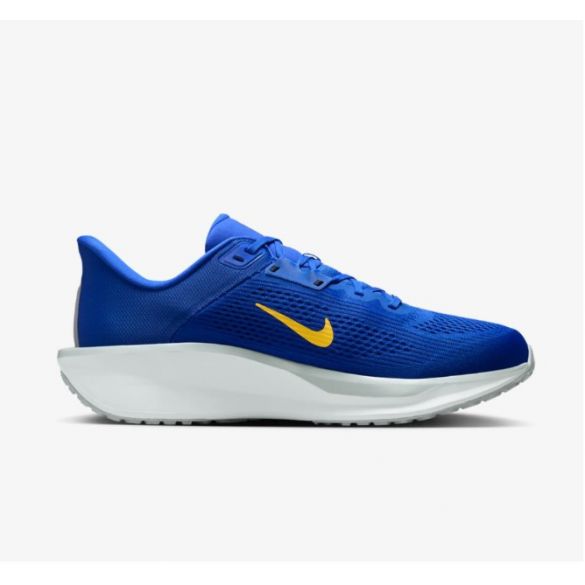 Чоловічі кросівки Nike Quest 6 FD6033-403_image_1