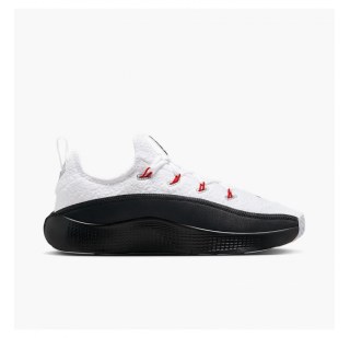 Кросівки чоловічі Nike Lebron Tr 1 FJ6151-101