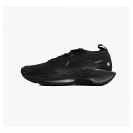 Кросівки чоловічі Nike Pegasus Trail 5 Gtx FQ0908-002