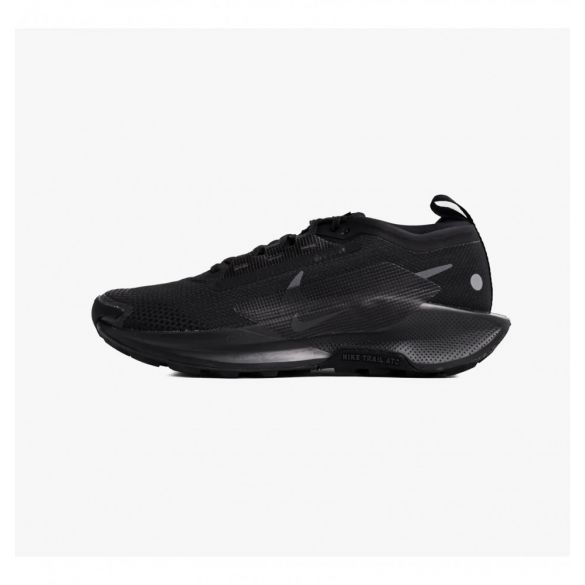 Кросівки чоловічі Nike Pegasus Trail 5 Gtx FQ0908-002_image_1