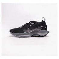 Кросівки жіночі Nike Pegasus Trail 5 Gore-Tex FQ0912-001