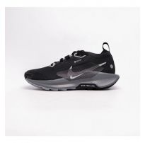 Кросівки жіночі Nike Pegasus Trail 5 Gore-Tex FQ0912-001_image_54