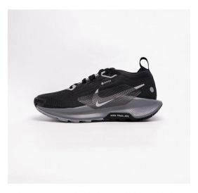 Кросівки жіночі Nike Pegasus Trail 5 Gore-Tex FQ0912-001
