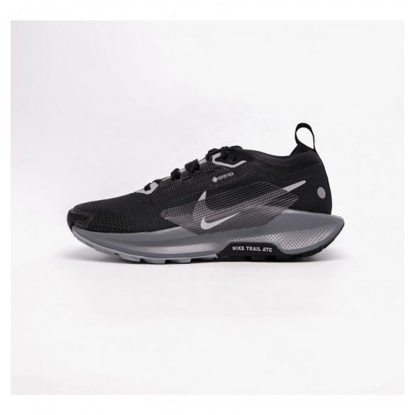 Кросівки жіночі Nike Pegasus Trail 5 Gore-Tex FQ0912-001_image_1