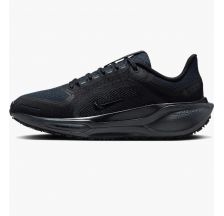 Жіночі кросівки Nike W Air ZM Pegasus 41 GTX FQ1357-001