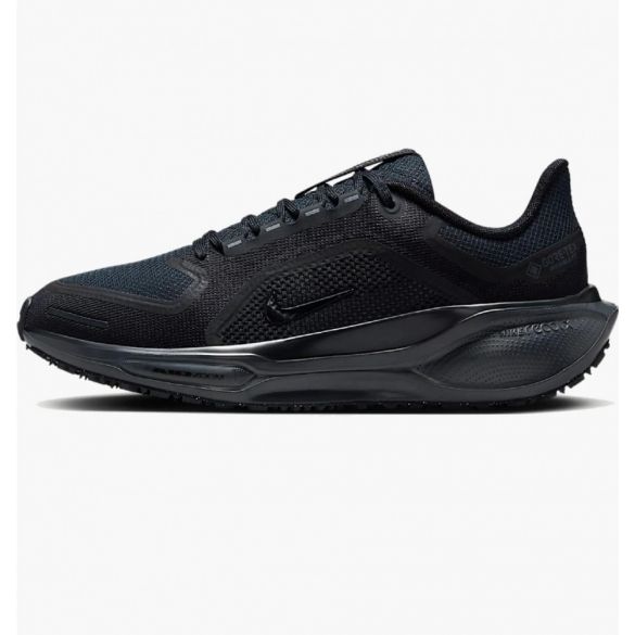 Жіночі кросівки Nike W Air ZM Pegasus 41 GTX FQ1357-001_image_2