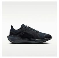 Женские кроссовки Nike W Air ZM Pegasus 41 GTX FQ1357-001_image_12