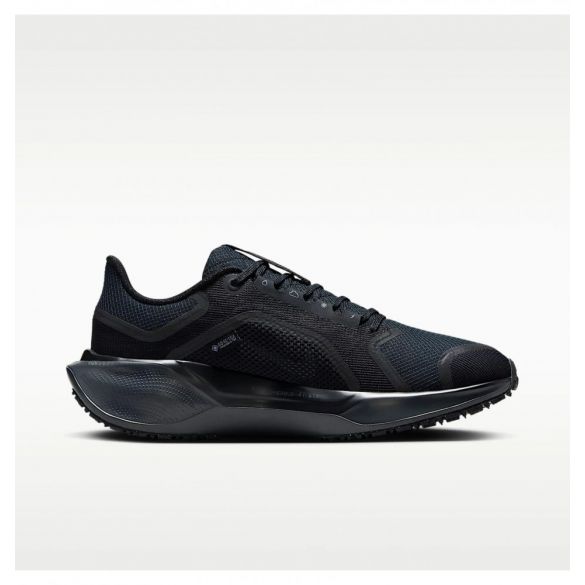 Жіночі кросівки Nike W Air ZM Pegasus 41 GTX FQ1357-001_image_1