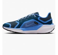 Жіночі кросівки Nike W Air ZM Pegasus 41 GTX FQ1357-400