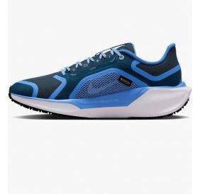 Жіночі кросівки Nike W Air ZM Pegasus 41 GTX FQ1357-400