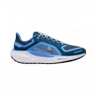 Жіночі кросівки Nike W Air ZM Pegasus 41 GTX FQ1357-400