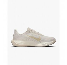 Кросівки жіночі Nike Pegasus Plus Road FQ7261-100