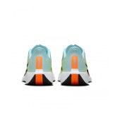 Кросівки жіночі Nike Pegasus Plus Road FQ7261-400_image_4