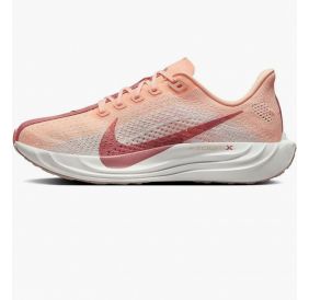 Кросівки жіночі Nike Pegasus Plus Road FQ7261-800