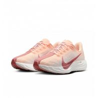 Кросівки жіночі Nike Pegasus Plus Road FQ7261-800