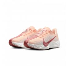 Кросівки жіночі Nike Pegasus Plus Road FQ7261-800