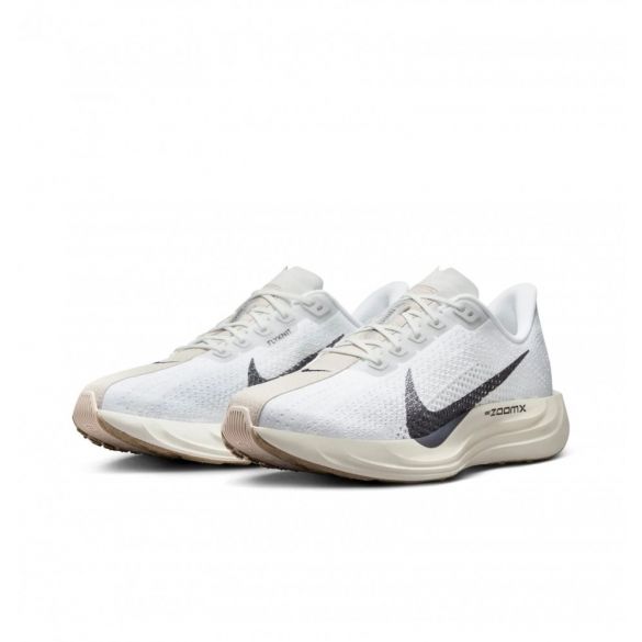 Кросівки чоловічі Nike Pegasus Plus FQ7262-100_image_2